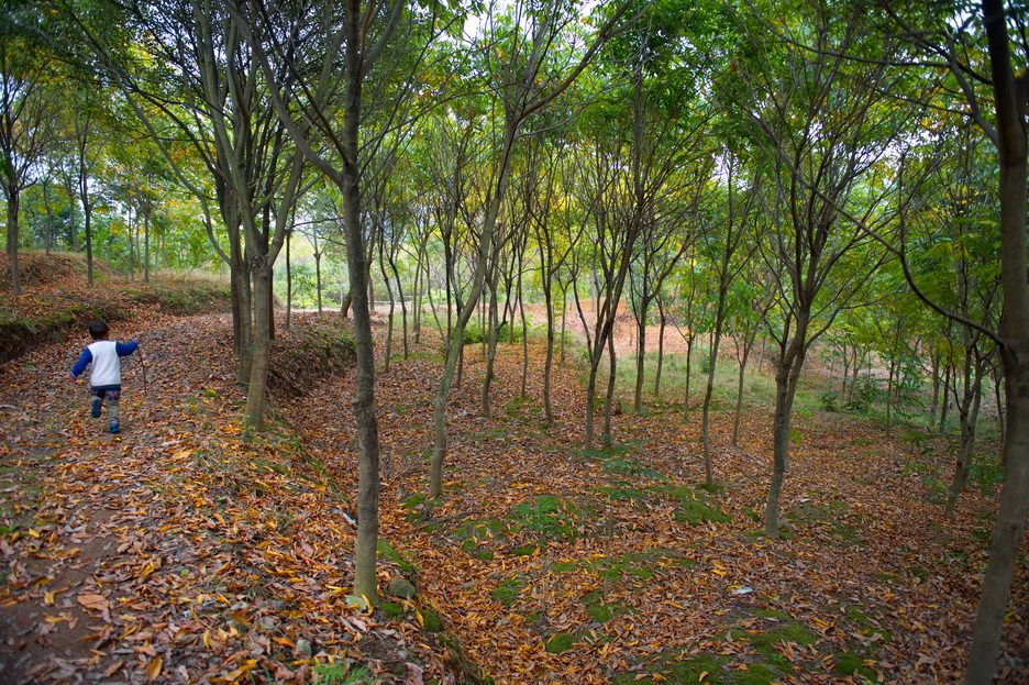 DSC_4060_缩小大小.jpg