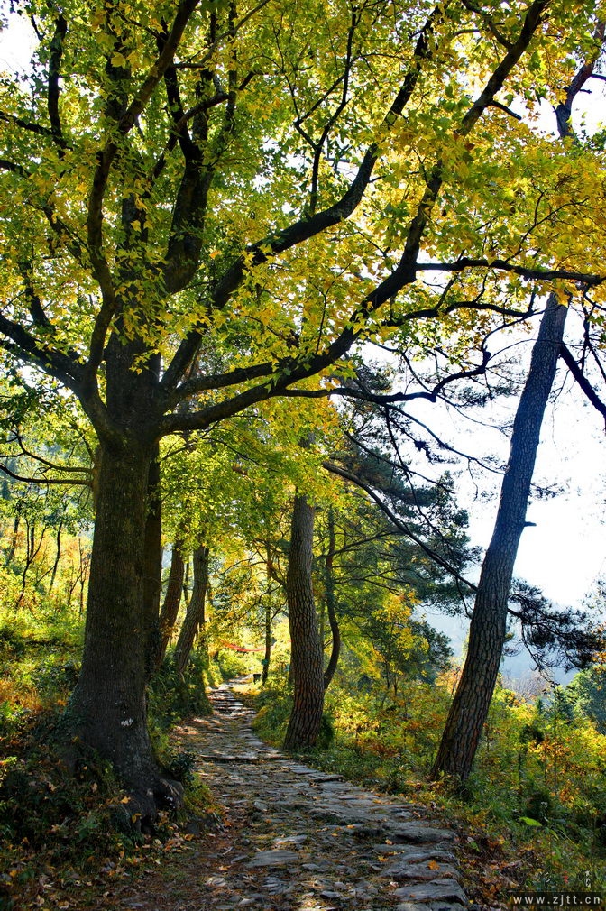 DSC01709_缩小大小.jpg