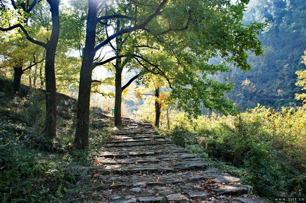 DSC01742_缩小大小.jpg