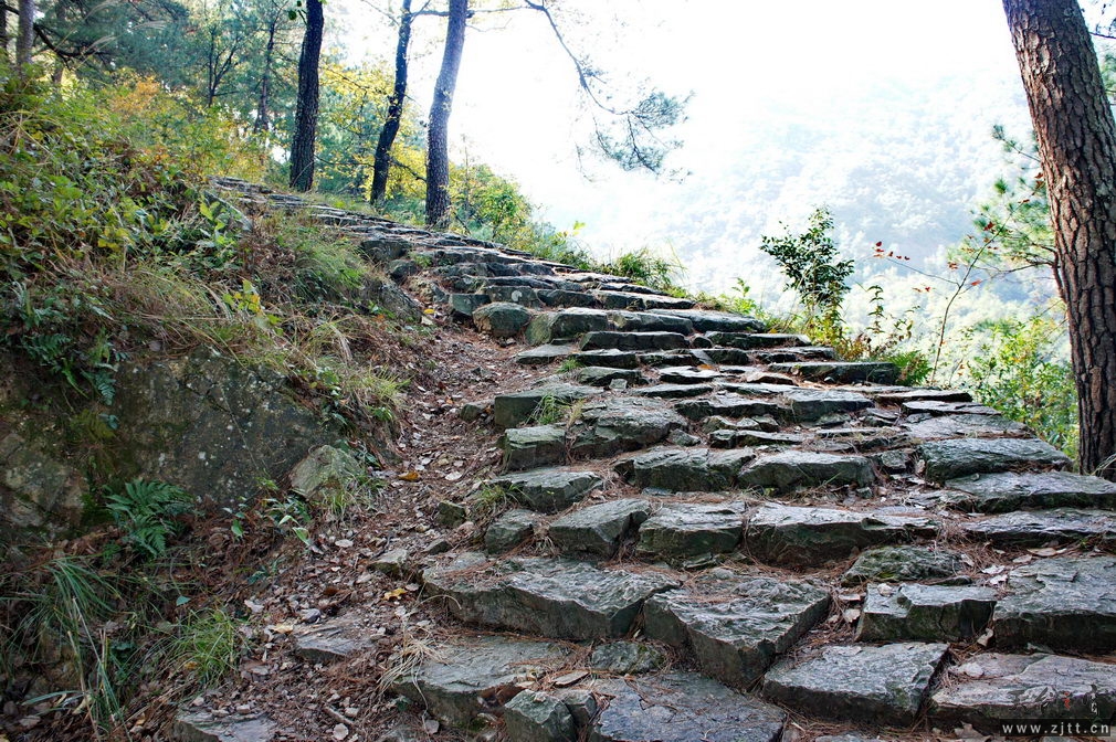 DSC01781_缩小大小.jpg