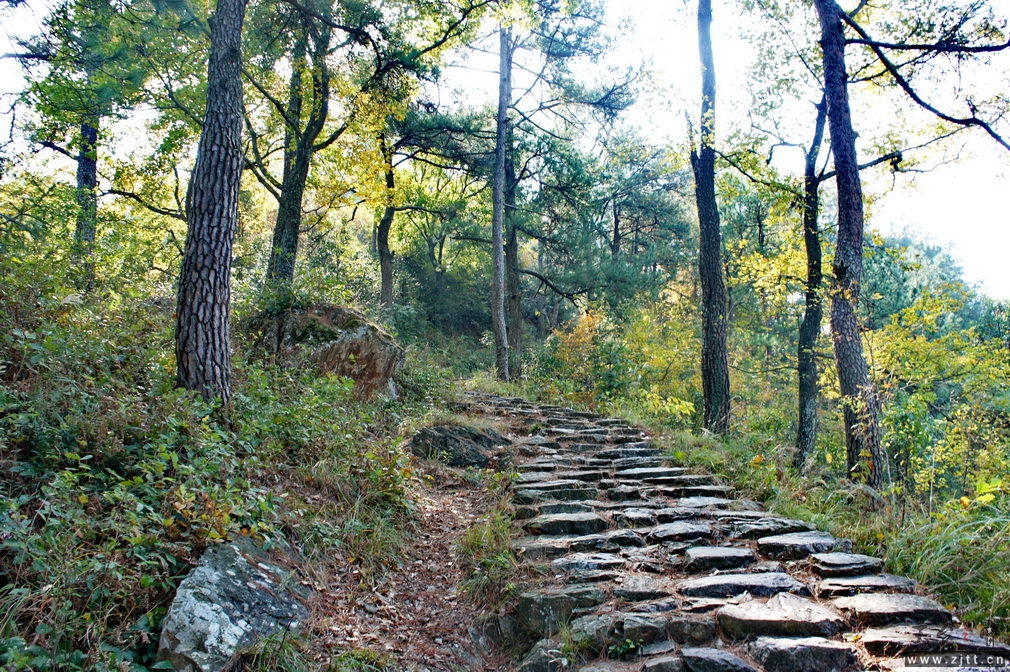 DSC01783_缩小大小.jpg