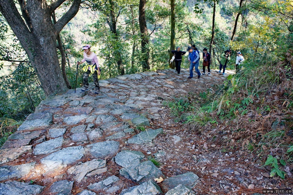 DSC01785_缩小大小.jpg