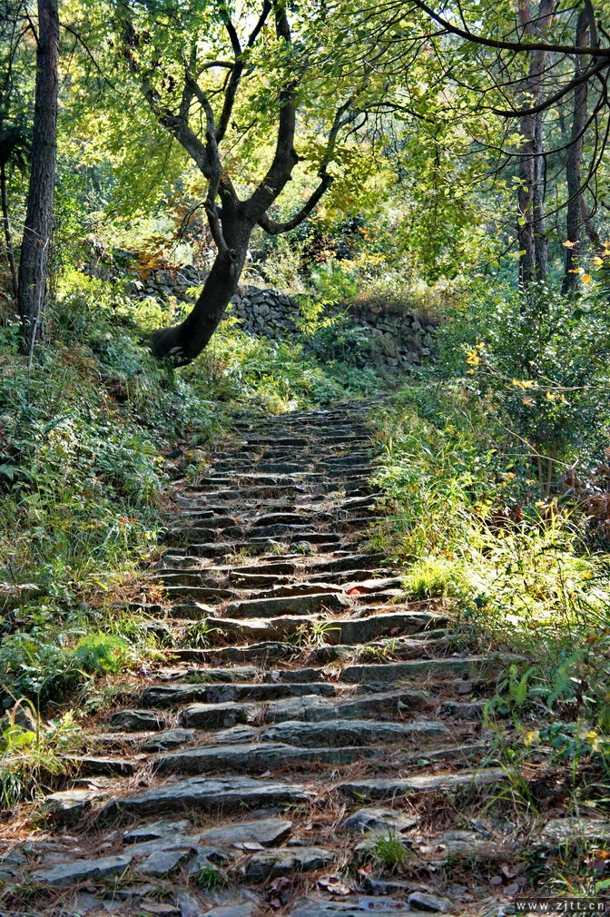 DSC01799_缩小大小.jpg