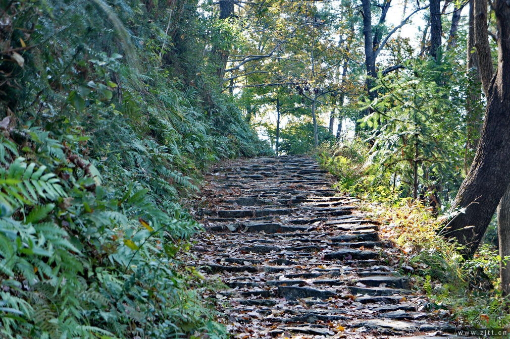 DSC01810_缩小大小.jpg