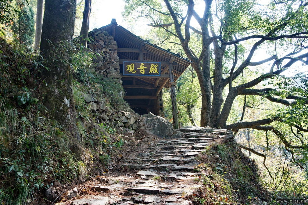 DSC01816_缩小大小.jpg