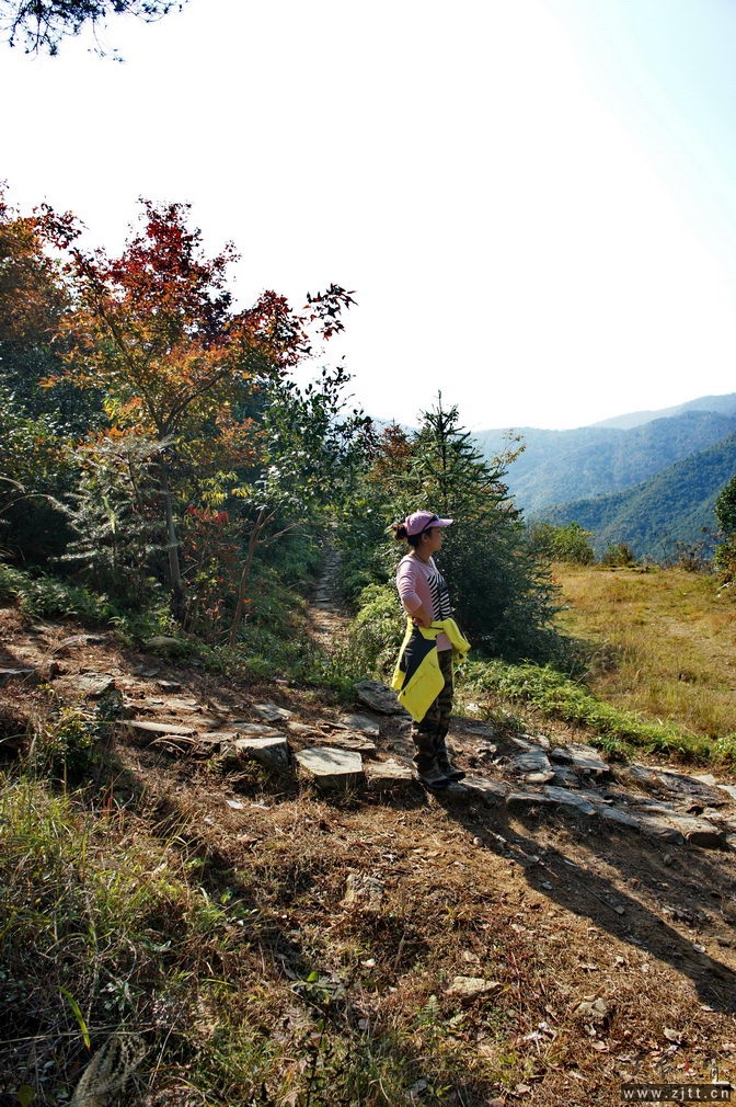 DSC01880_缩小大小.jpg