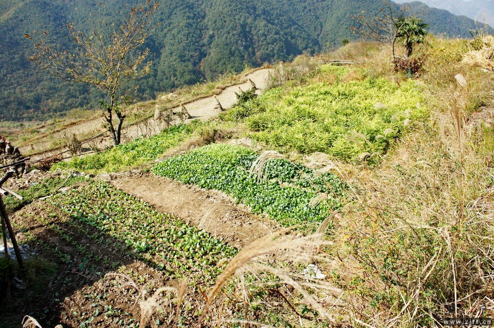 DSC01921_缩小大小.jpg