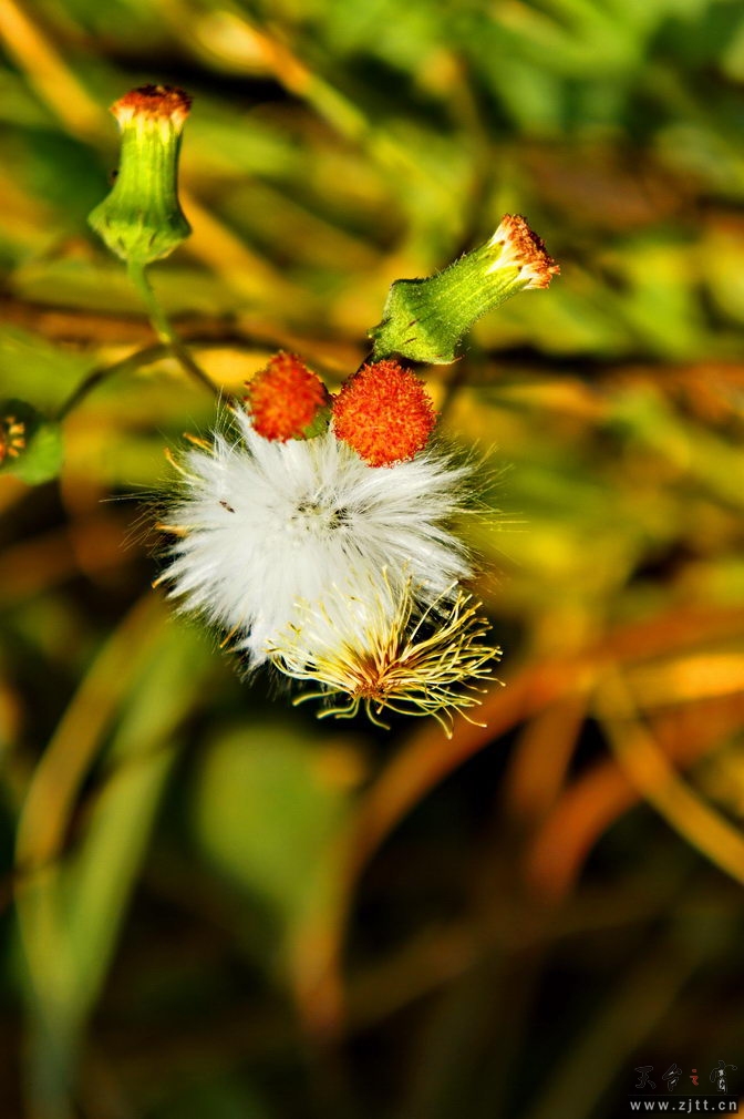 DSC01929_缩小大小.jpg
