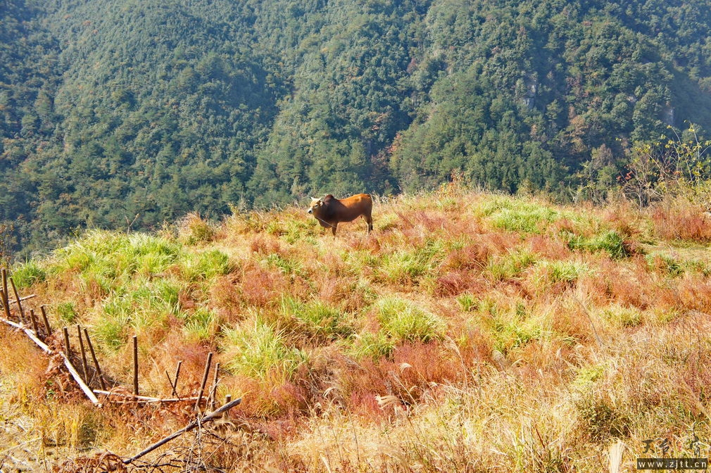 DSC01931_缩小大小.jpg