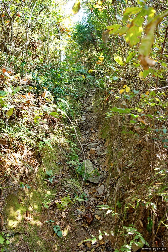 DSC01947_缩小大小.jpg