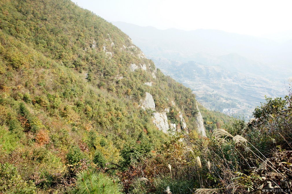 DSC01977_缩小大小.jpg