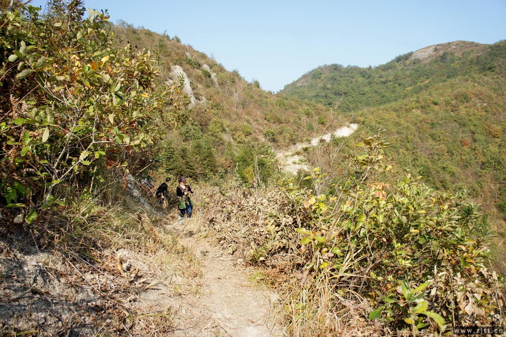 DSC01981_缩小大小.jpg