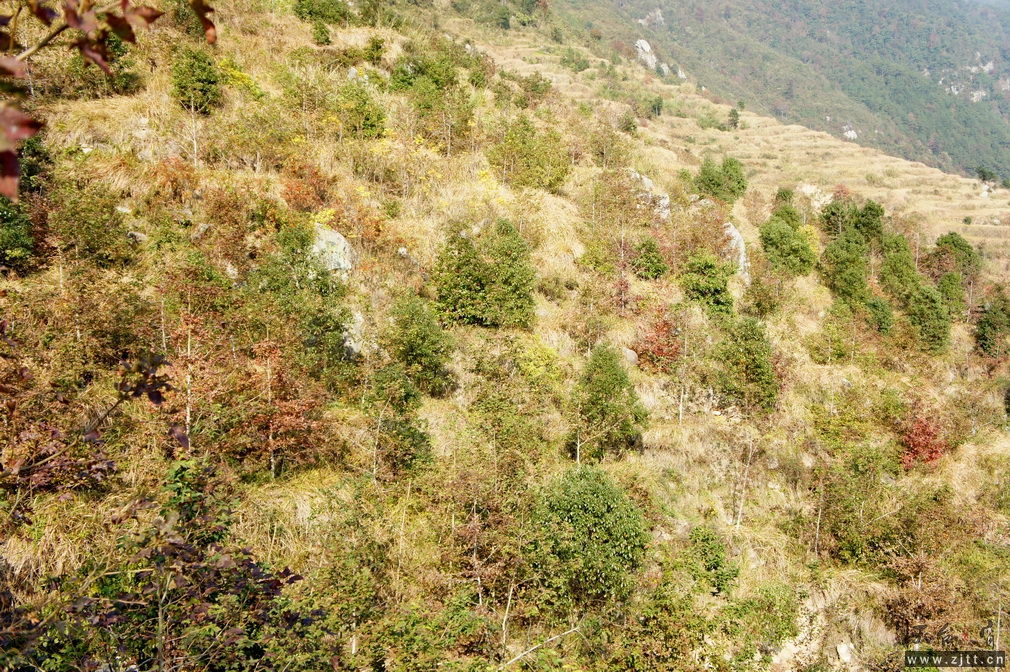 DSC02017_缩小大小.jpg