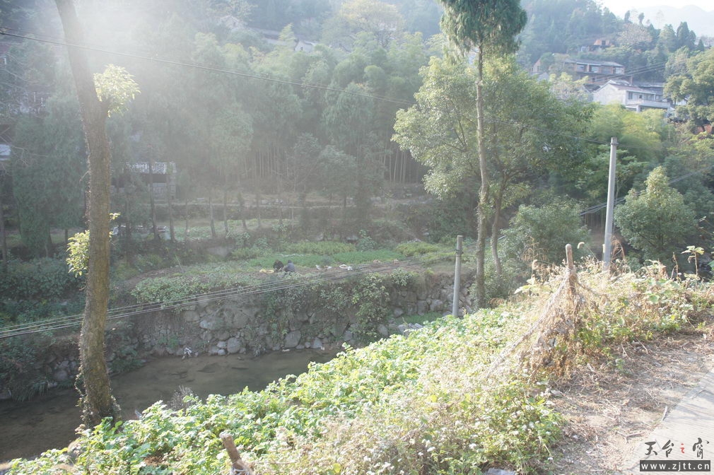 DSC02045_缩小大小.jpg