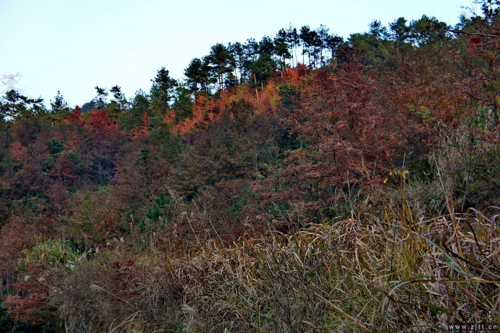 DSC02154_缩小大小.jpg