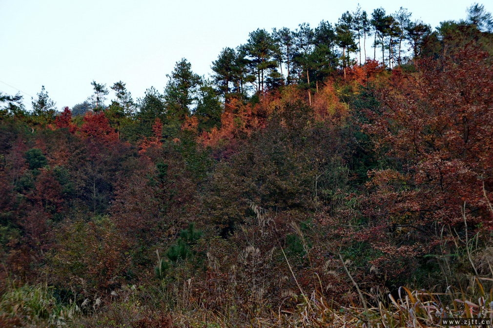 DSC02161_缩小大小.jpg