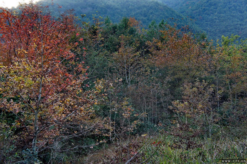 DSC02165_缩小大小.jpg