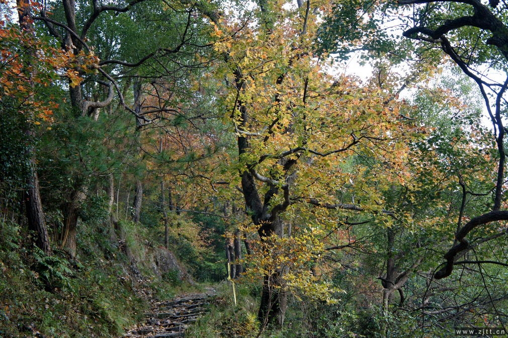 DSC02169_缩小大小.jpg