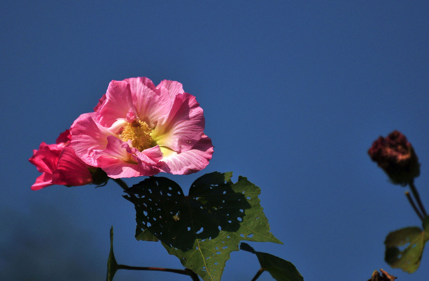 DSC_0959.jpg