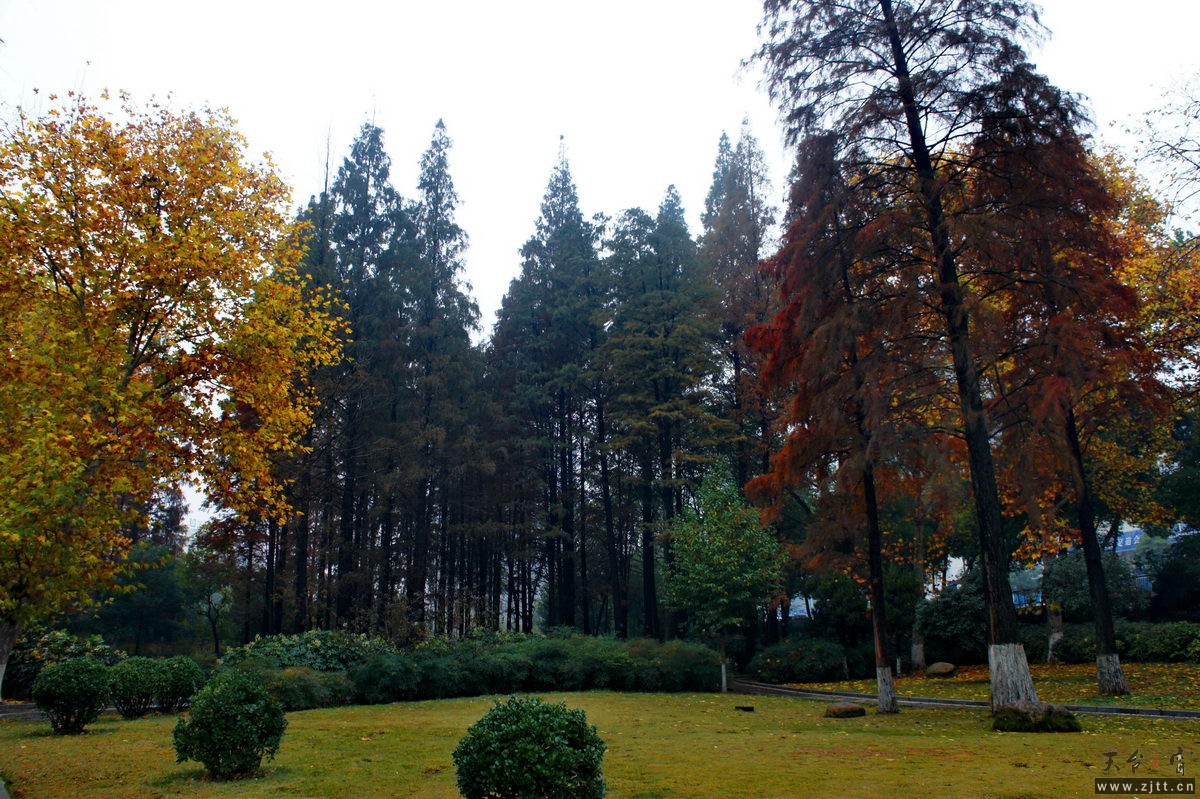 DSC02294_缩小大小.jpg