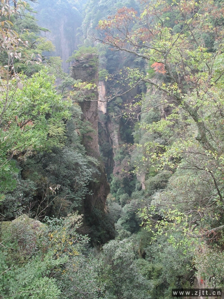 旅行11.jpg