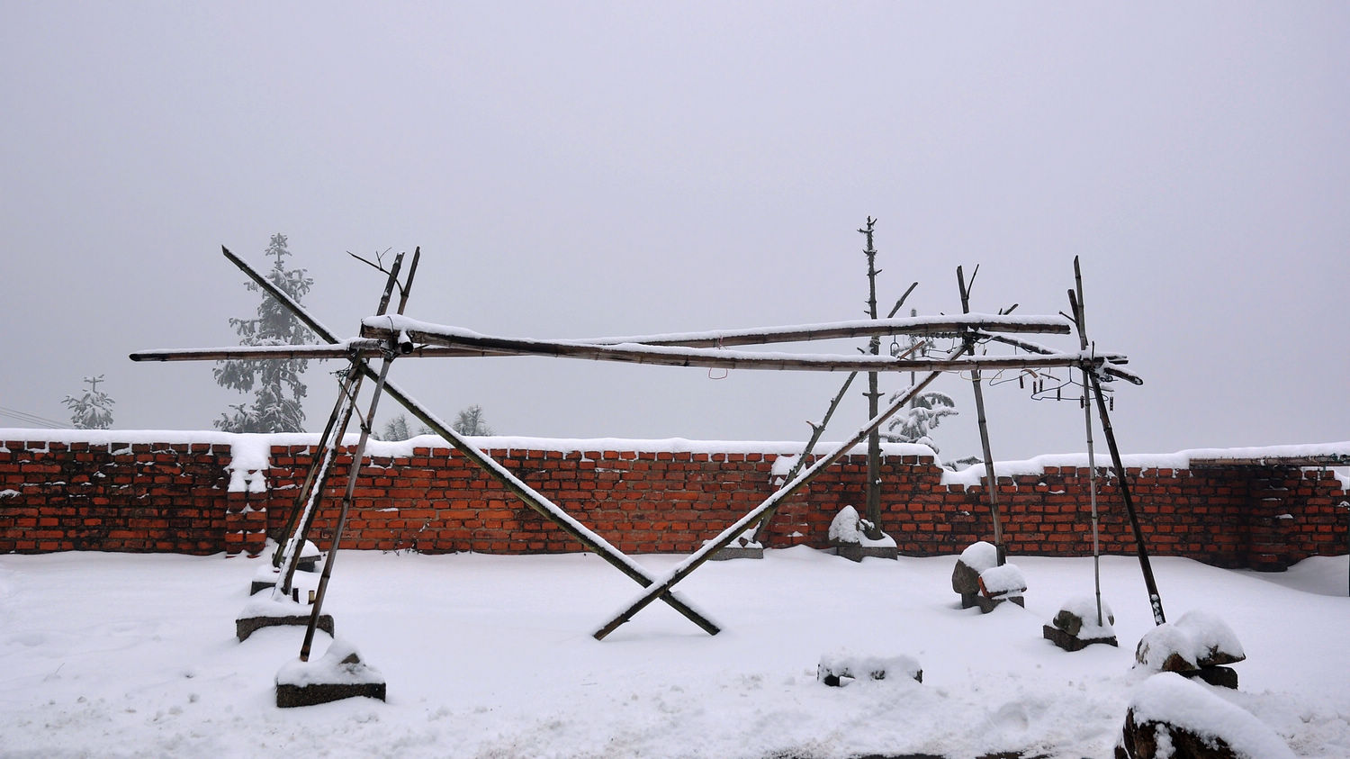 DSC_2147.jpg