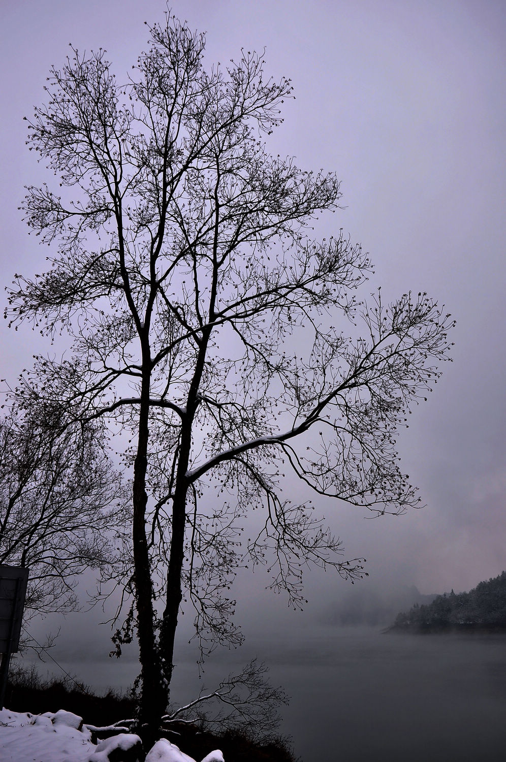 DSC_2280.jpg
