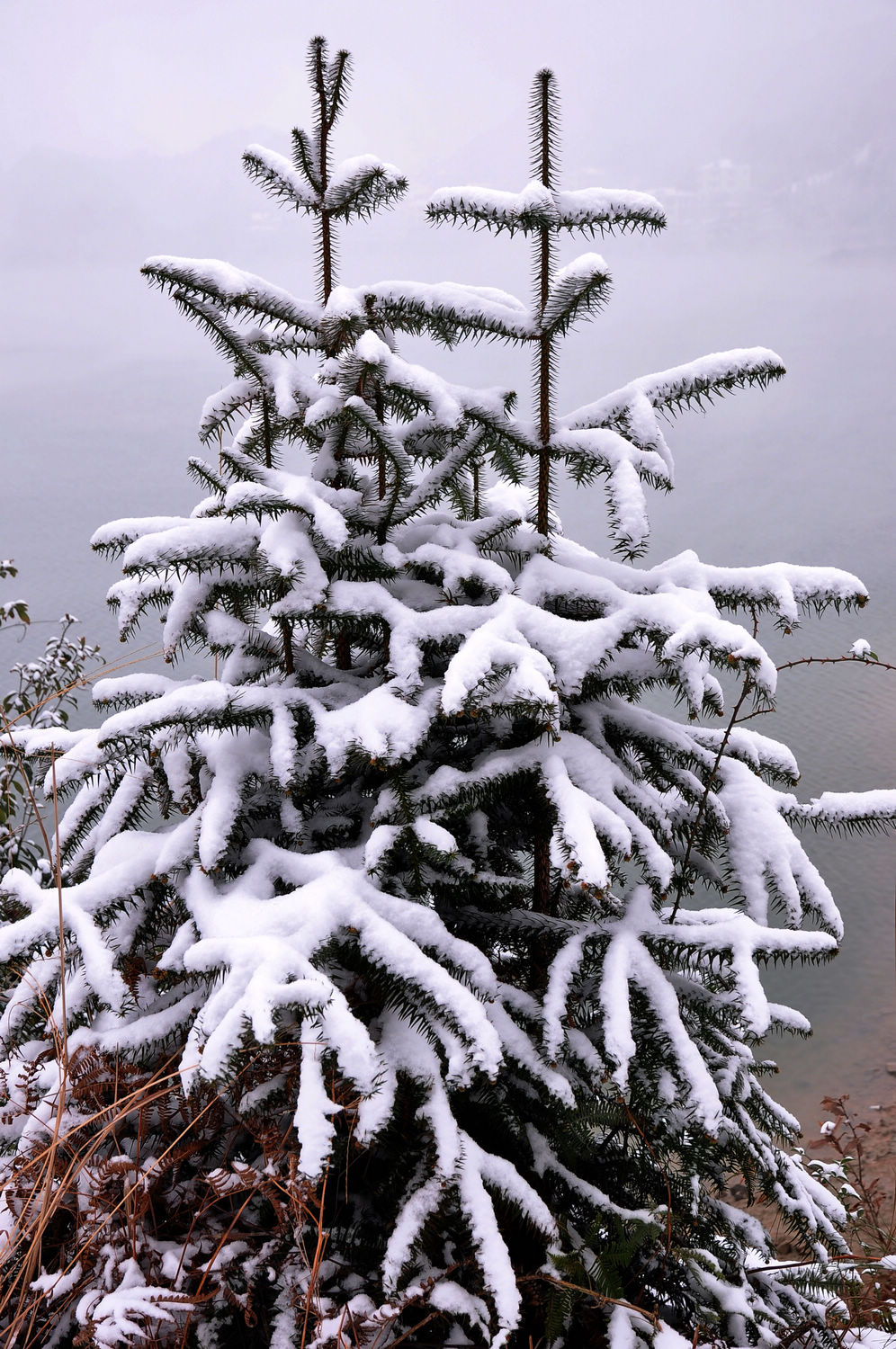 DSC_2298.jpg