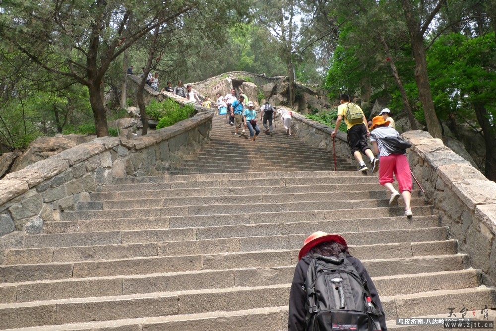 P1140322.jpg