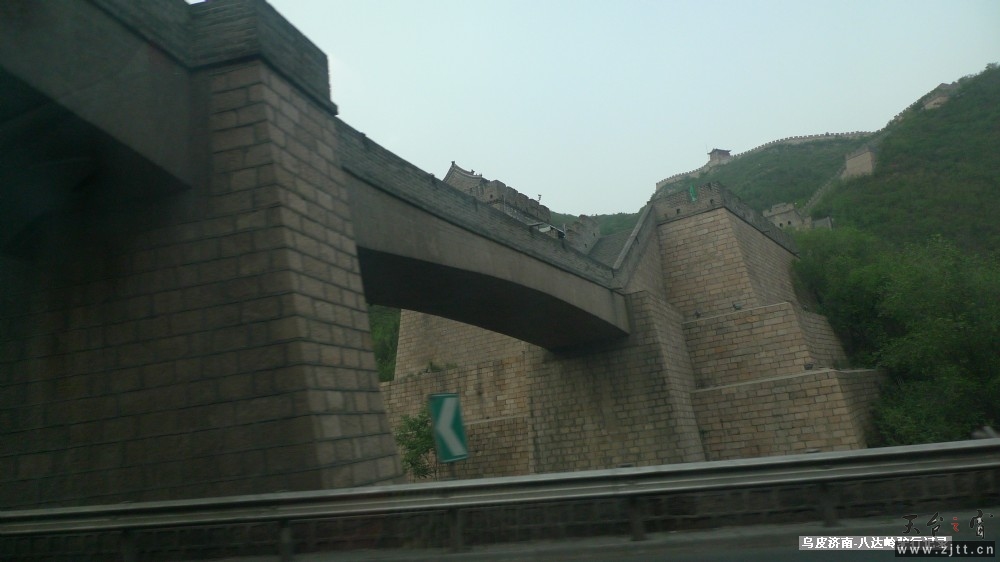 P1140774.jpg
