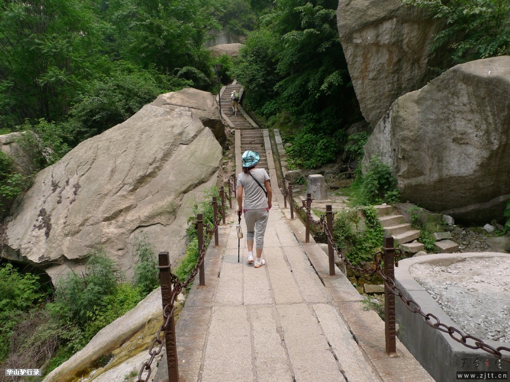 P1150157.jpg