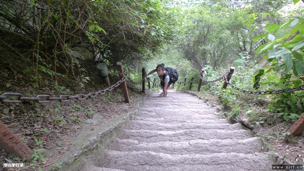 P1150251.jpg