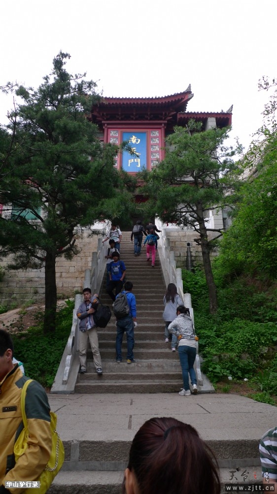P1150480.jpg