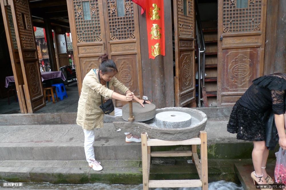 P1150685.jpg