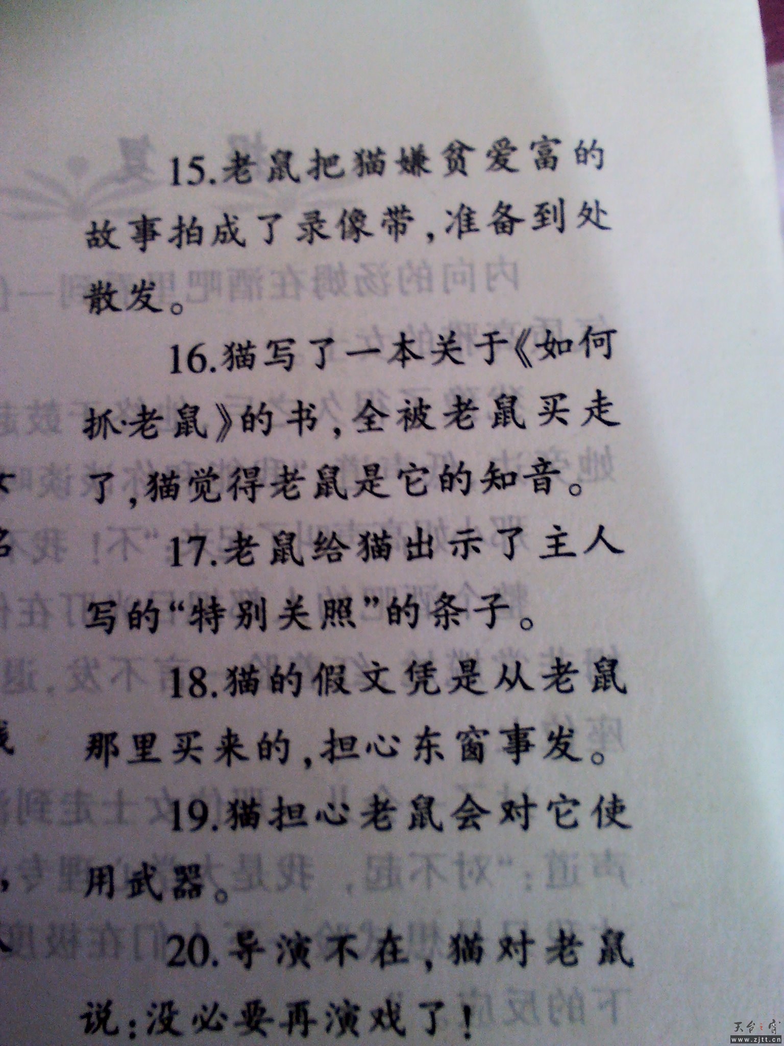 YP20121223151010.jpeg
