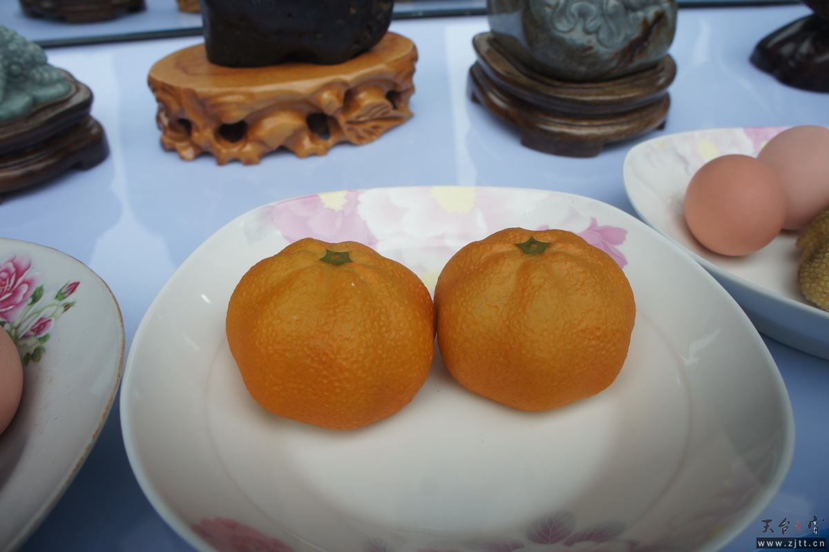 DSC04133_调整大小.JPG