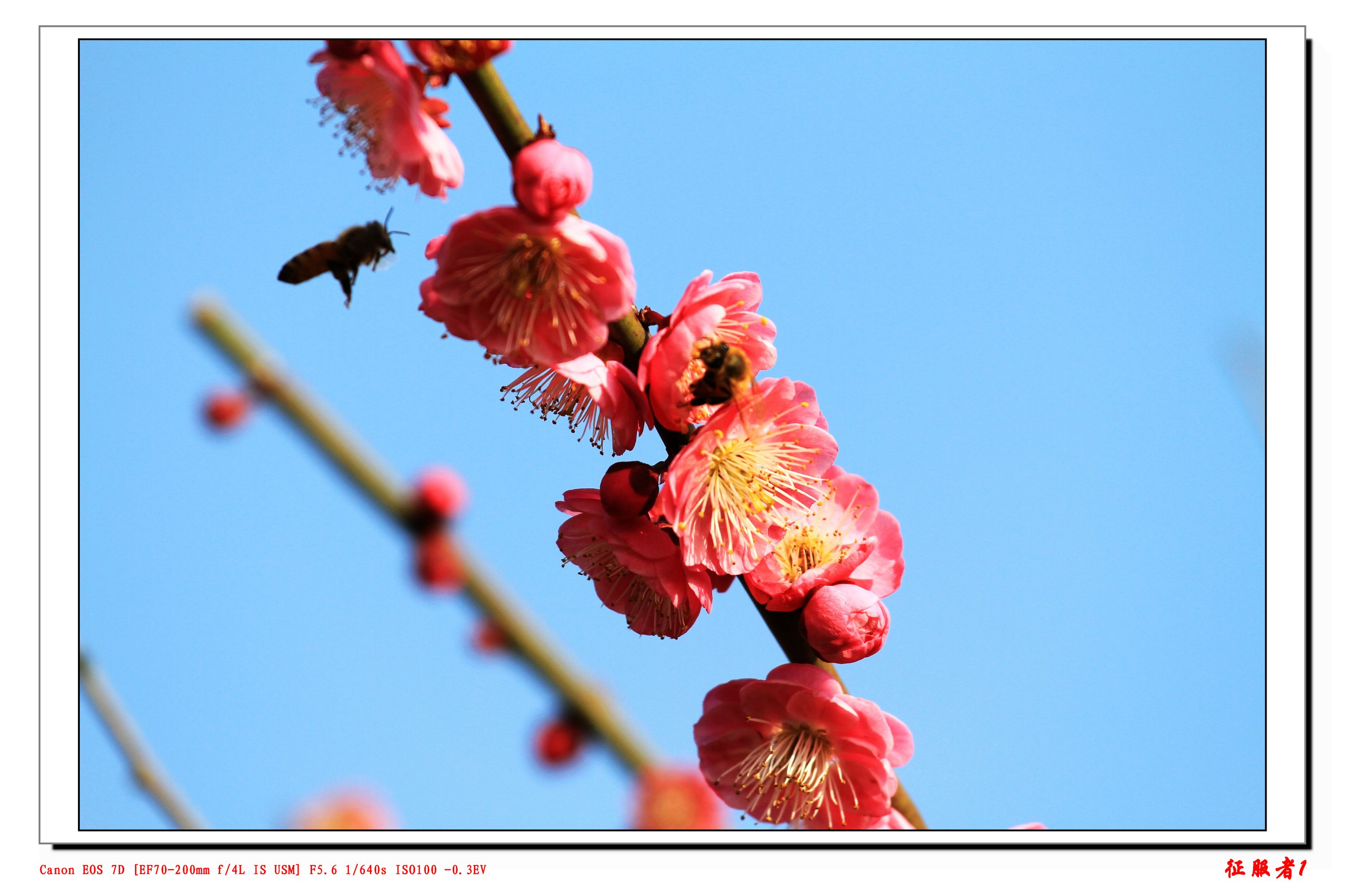 IMG_8739.jpg