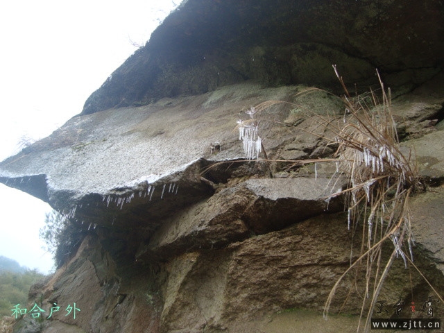 DSC05370_副本.jpg