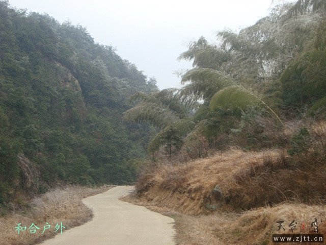 DSC05452_副本.jpg