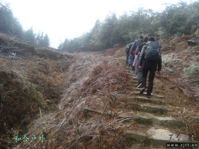DSC05478_副本.jpg