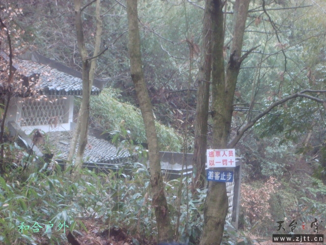 DSC05504_副本.jpg