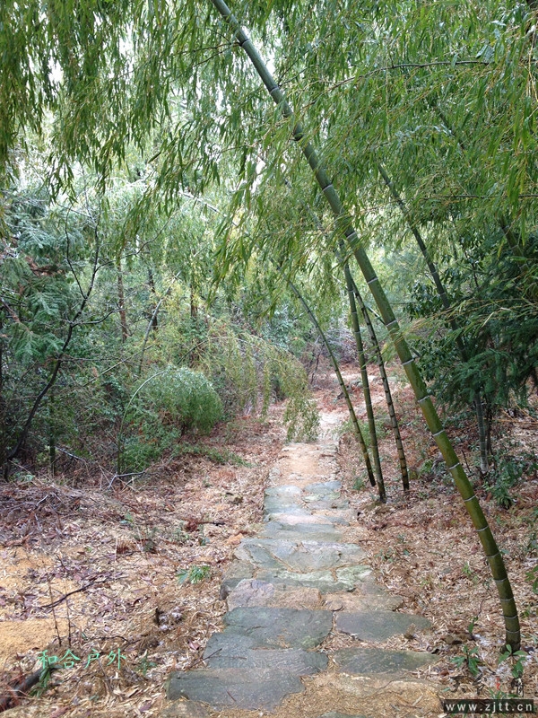 IMG_0546_副本.jpg