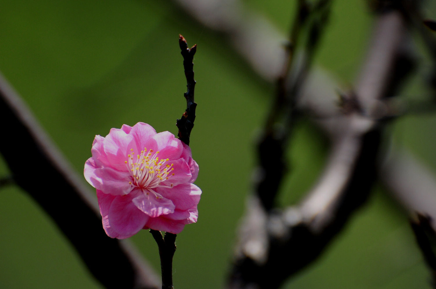 DSC_2328.JPG