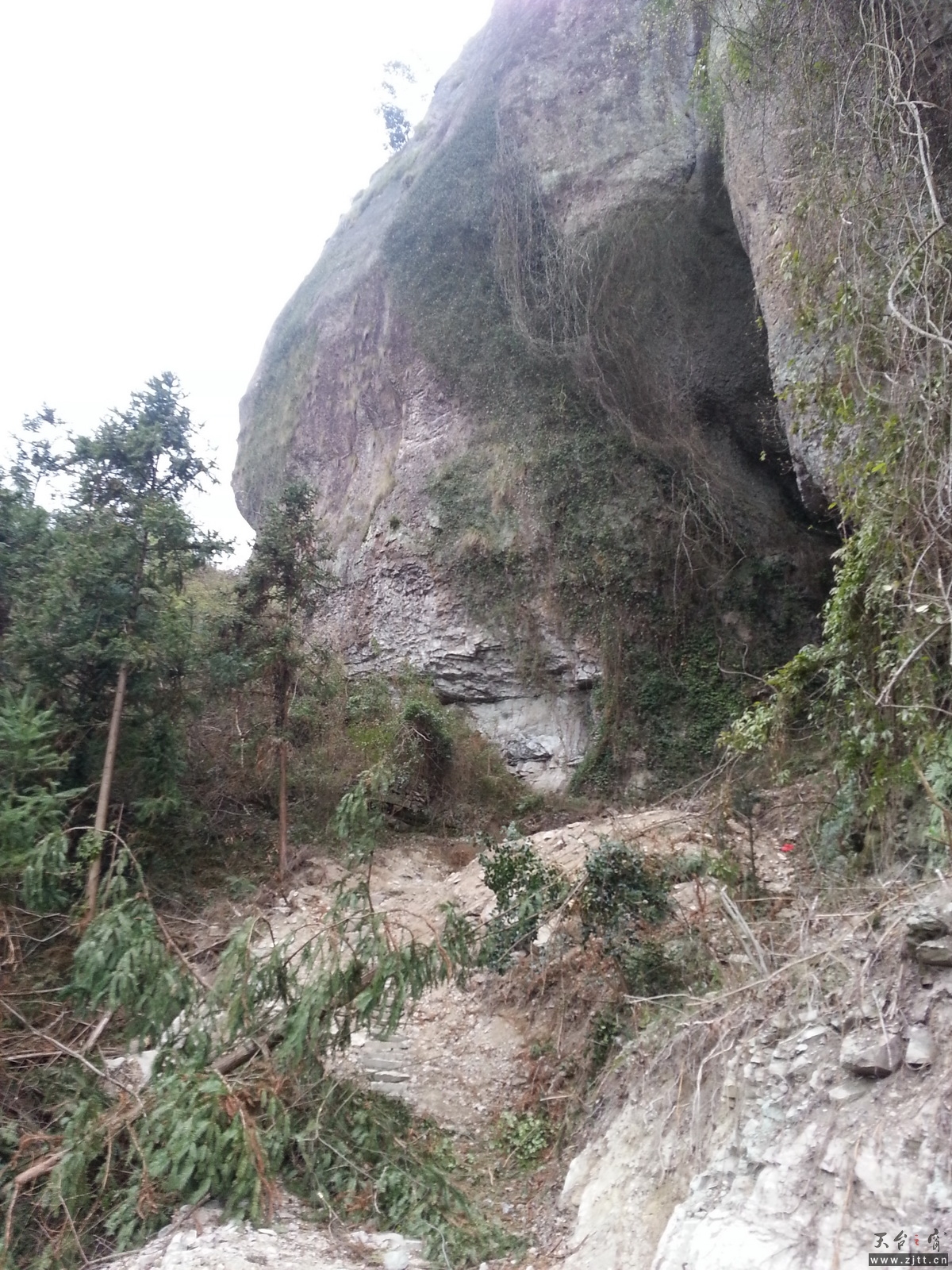 20130310_170915_调整大小.jpg