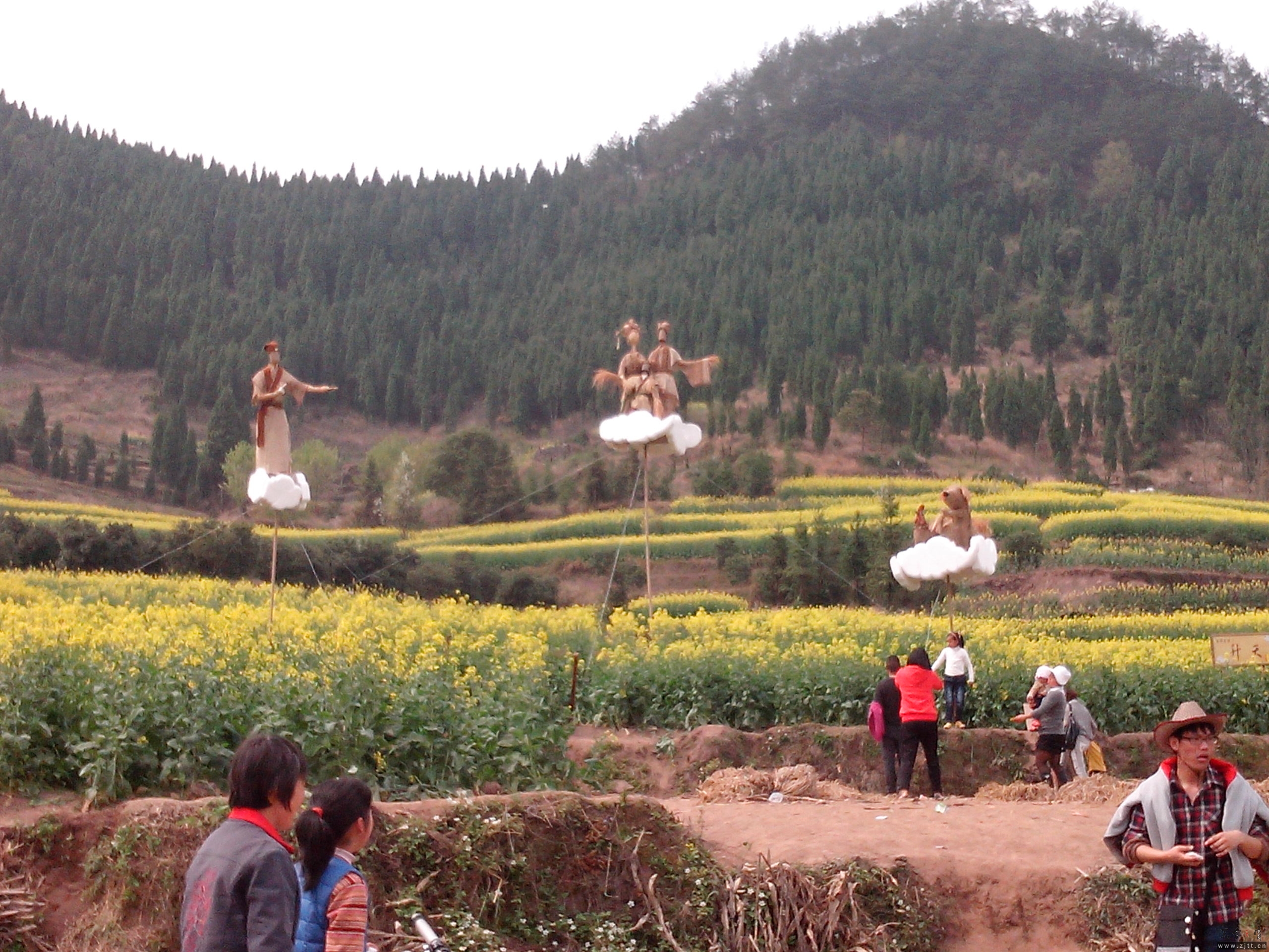 IMG_20130316_131807.jpg