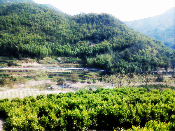 照片2156.jpg
