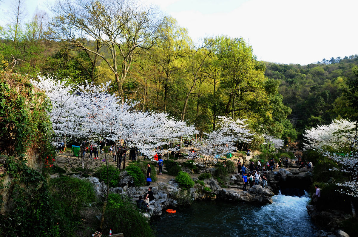 DSC_2708.jpg