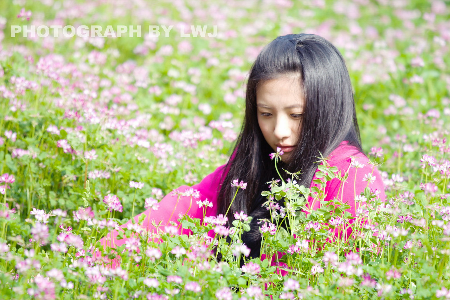 IMG_7929_副本.jpg