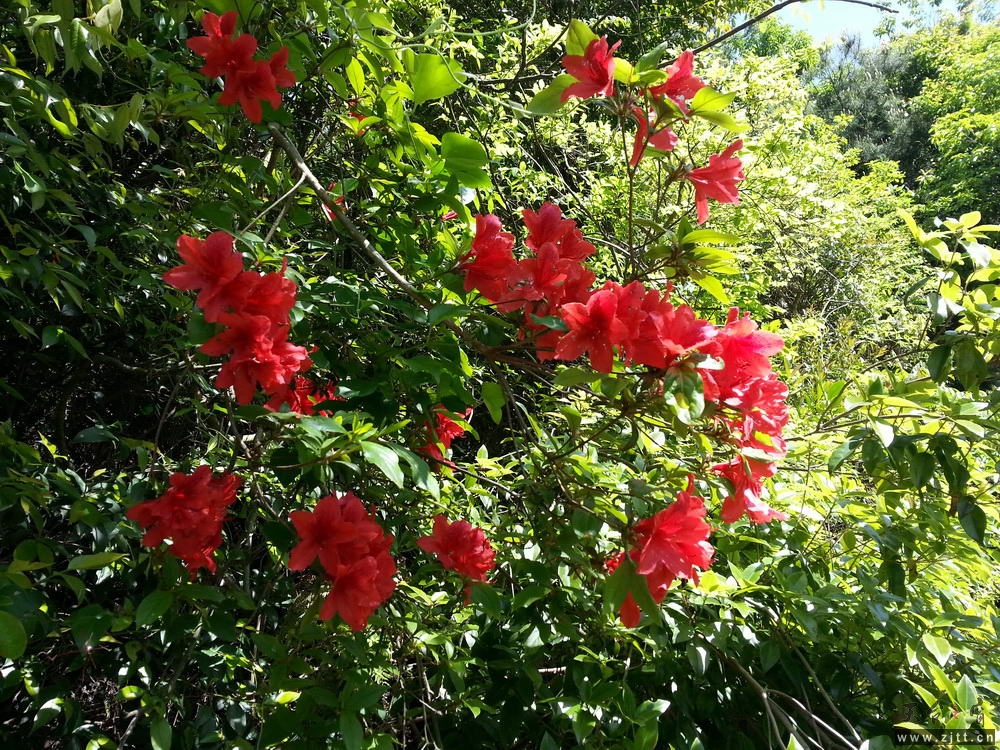 20130501_100650_调整大小.jpg