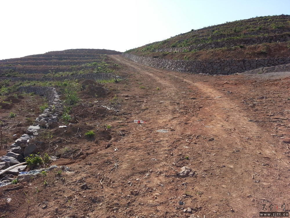 20130501_155948_调整大小.jpg
